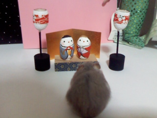 ¤ª¤Ò¤Ê¤µ¤Þ