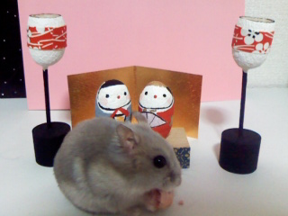 ¤ª¤Ò¤Ê¤µ¤Þ