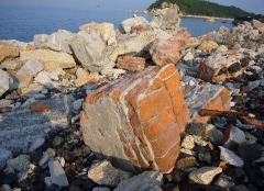 51