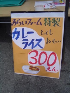 ¥«¥ì¡¼¤Î´ÇÈÄ¡£