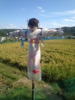 曼珠沙華 沿道5