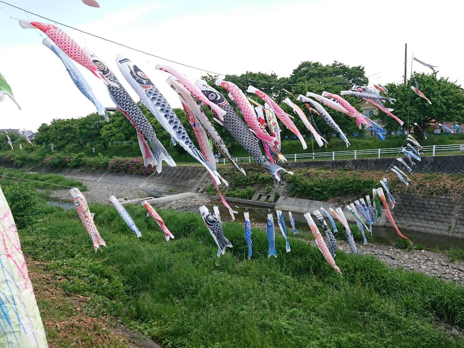 0504_長房端午?.JPG