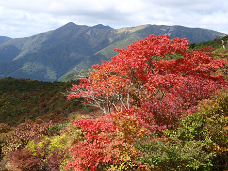 那須紅葉写真1