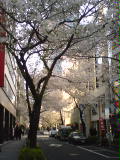 110406_1433~02.jpg
