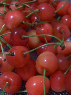 110621_2009~01.jpg