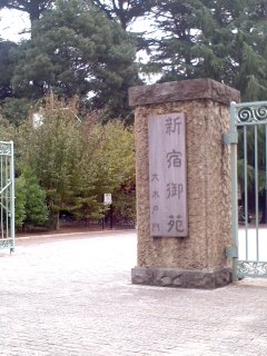 111105_1315~03.jpg