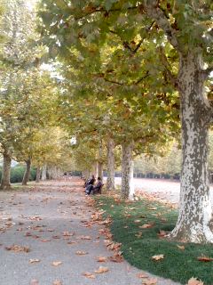 111105_1325~01.jpg