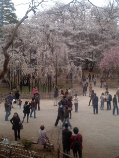 130323_1435~01.jpg
