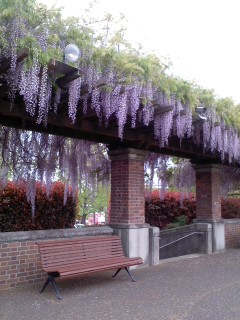 130423_1048~01.jpg