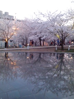 140412_1821~01.jpg