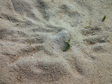 PA100441.jpg