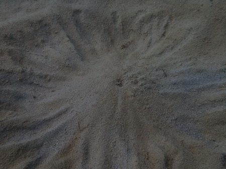 PA100425.jpg