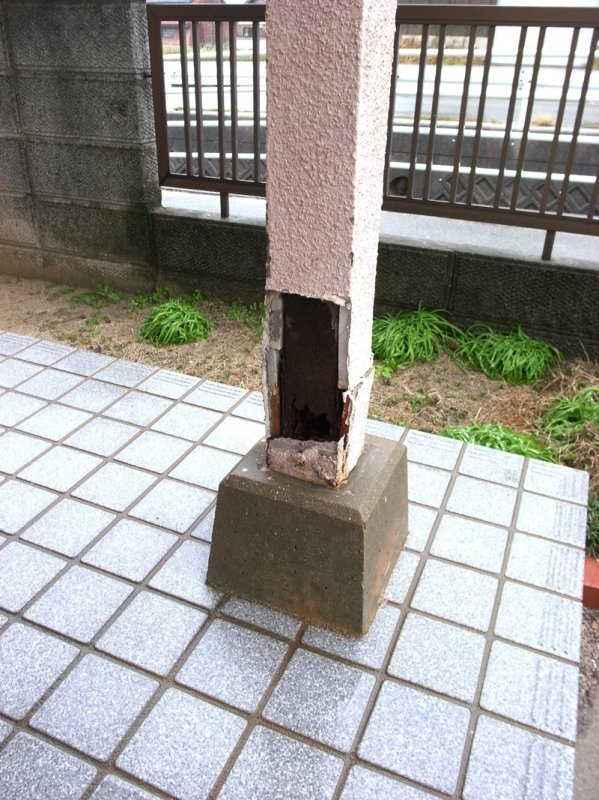 R1023597.JPG
