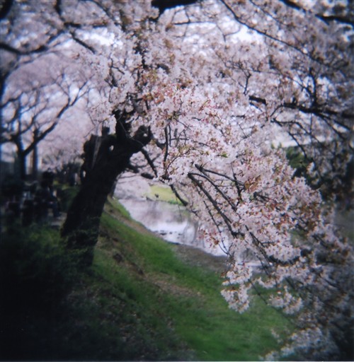HOLGA_1