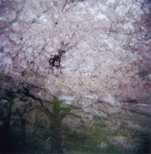 HOLGA_3