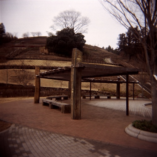 あいかわ公園花の斜面