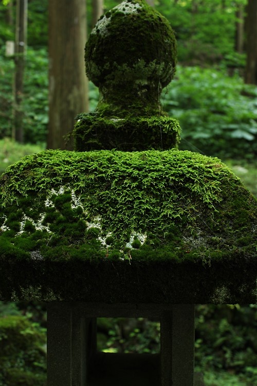 玉簾の滝_005