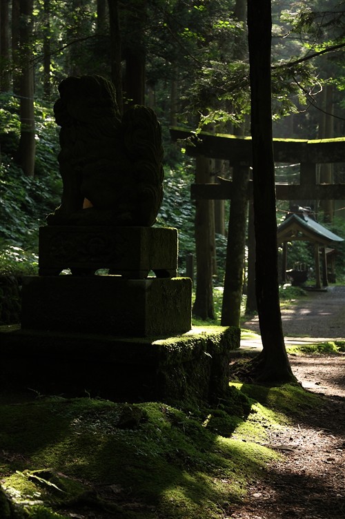 玉簾の滝_009