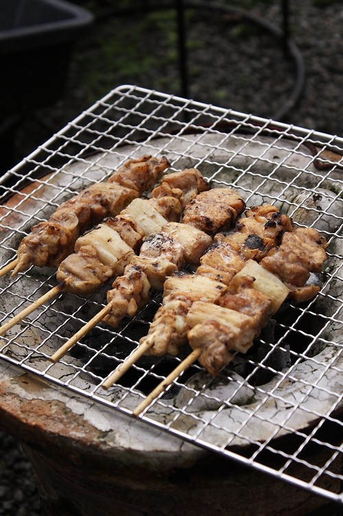 2010BBQ_07