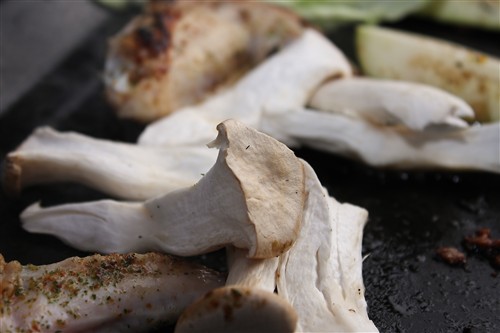 2010BBQ_08