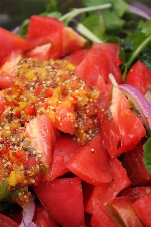 2010BBQ_10