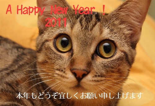 2011年賀状