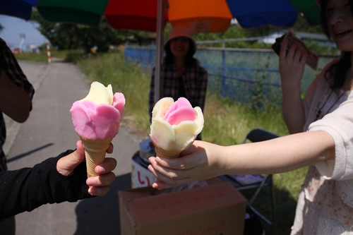 酒田Vol.4_gourmet_012