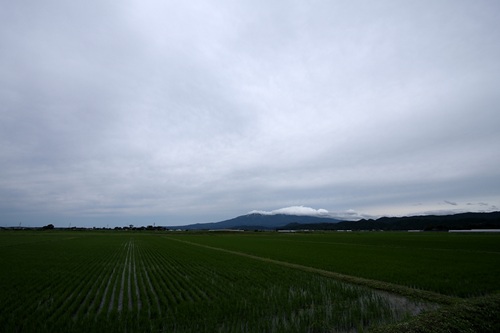 酒田Vol.5最上川川下り