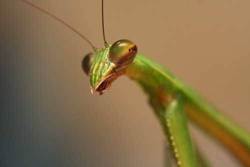 カトリーヌ2012、その2