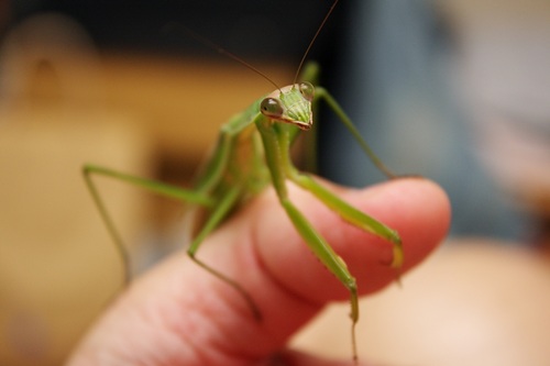 カトリーヌ2012、その2