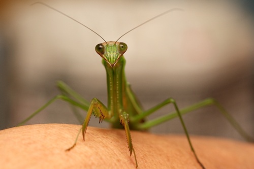 カトリーヌ2012、その2