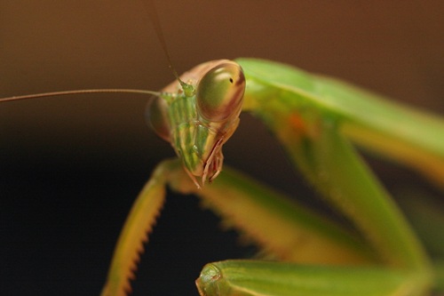 カトリーヌ2012、その2