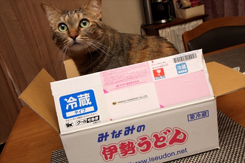 伊勢うどん