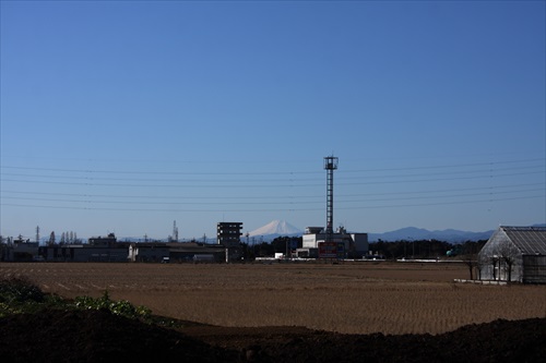 第1回埼玉うどんツアー