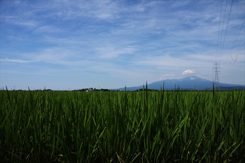 酒田8:観光編