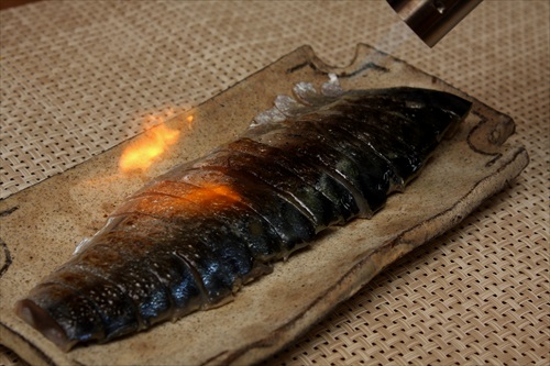 炙りしめ鯖