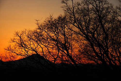 夕暮れ時