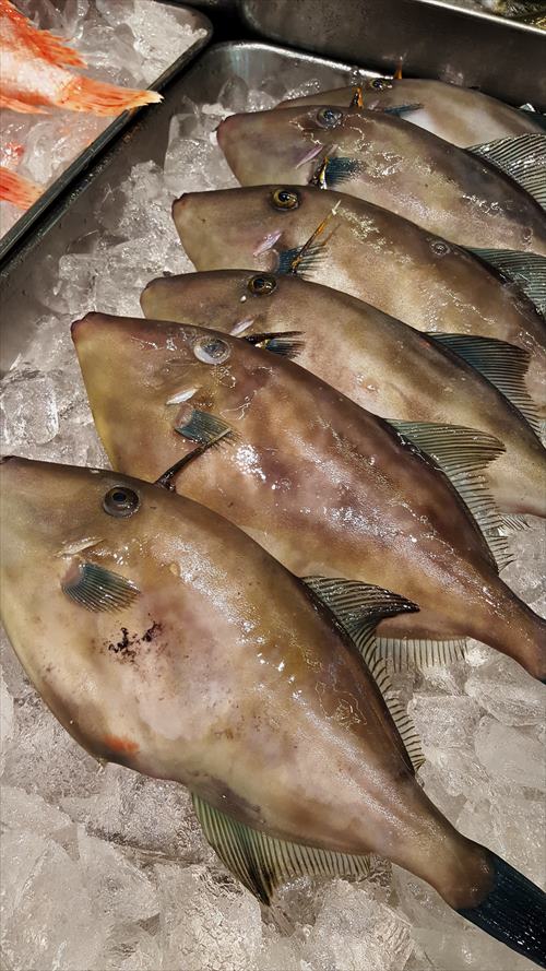 お魚な夕食