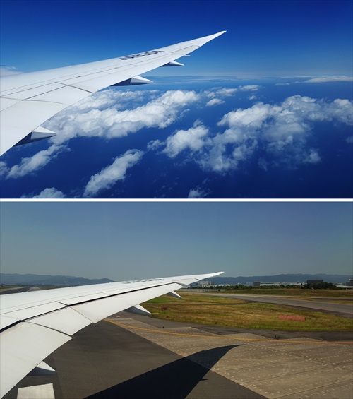 関西6:4日目帰り
