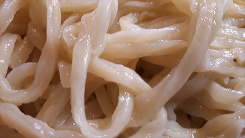 がっきーうどん10