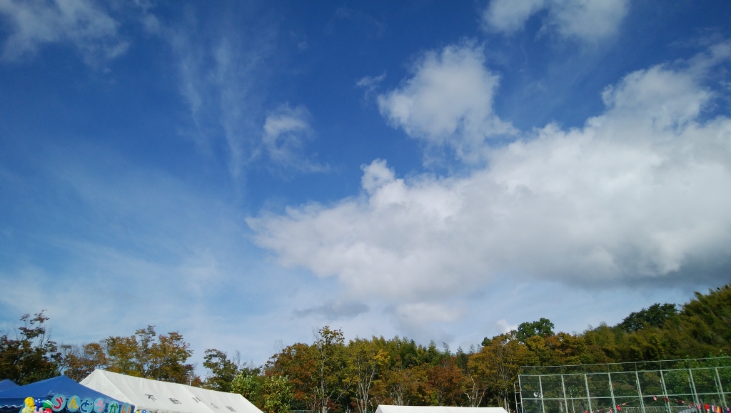 IMG_20171008_100608.jpg