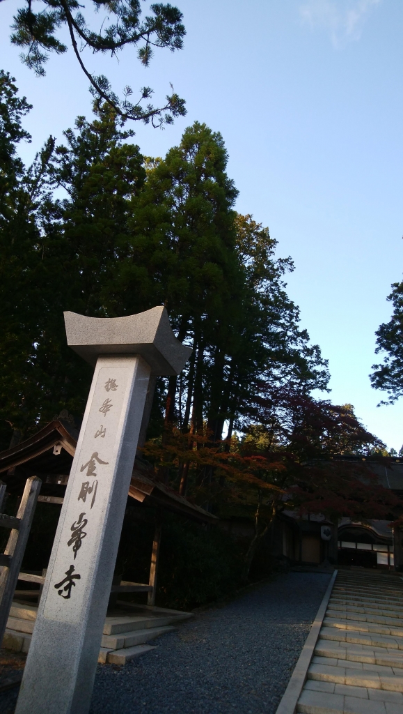IMG_20171026_161934.jpg