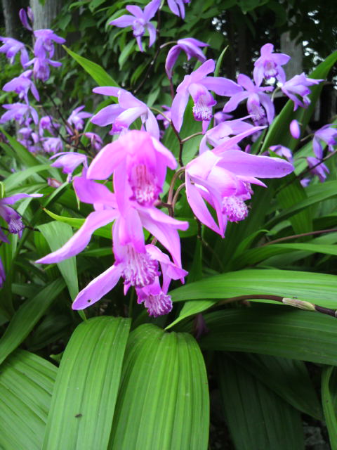 2010061515570000.jpg