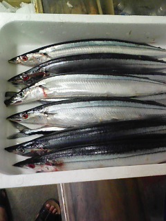 sanma