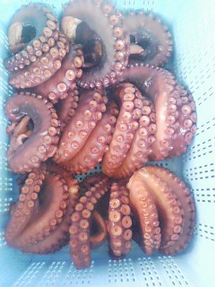 煮タコ