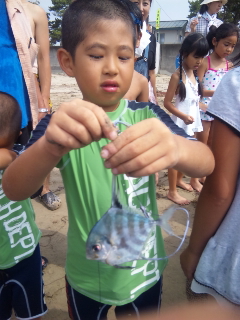 魚