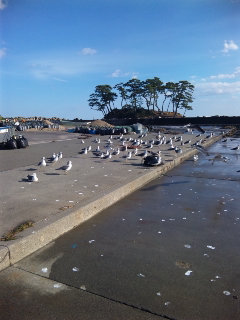 お伊勢浜