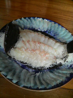 カレイ