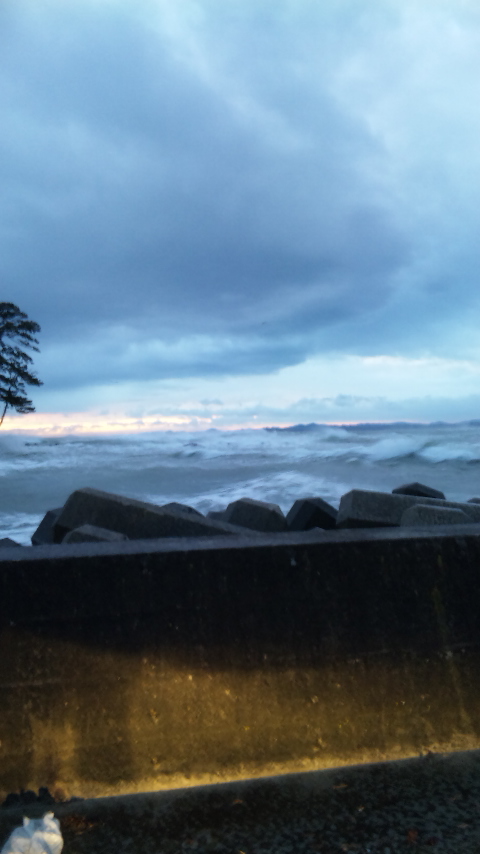 海