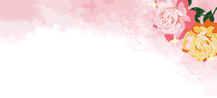 dt_reijin_i311_01.gif